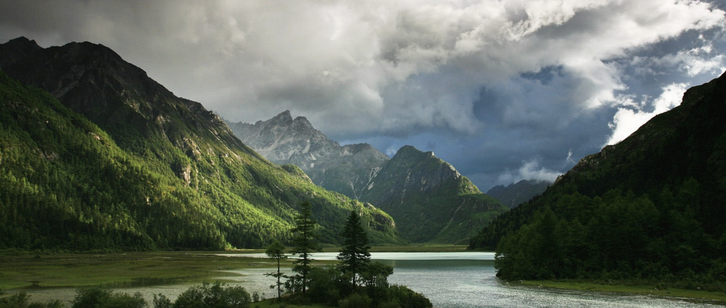 Dragonboat统一存储LogDB实现分析|得物技术